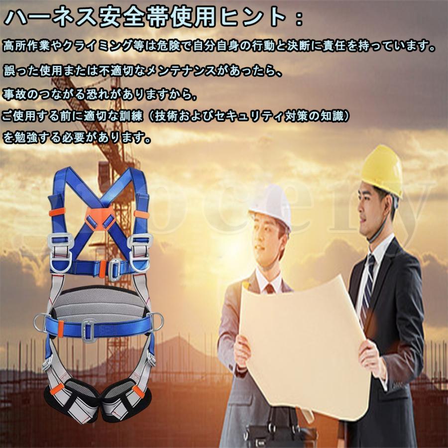 安全帯 墜落制止用器具 新規格適合 フルハーネス セット ハーネス型