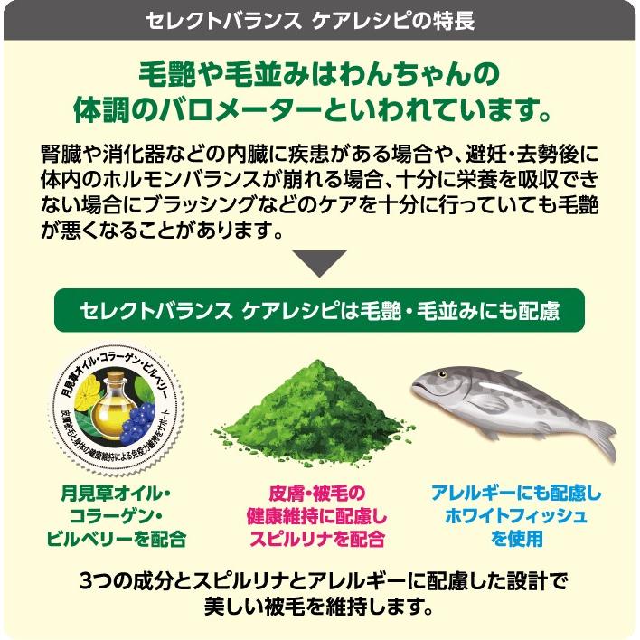セレクトバランス　ケアレシピ　避妊・去勢後の健康サポートレシピ / 1才以上の成犬用ホワイトフィッシュ小粒　800ｇ　おまけ付き |  | 02