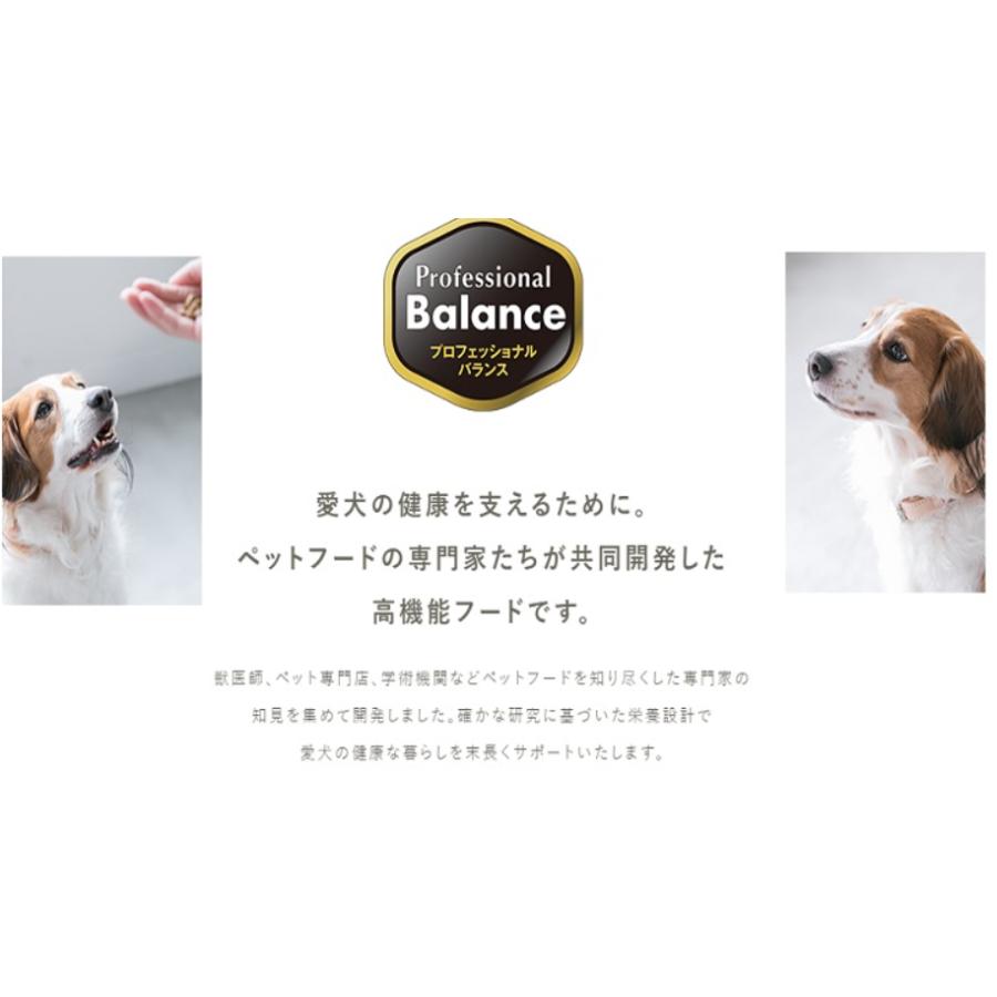 プロフェッショナル・バランス 1歳から 成犬用 6kg : みるきぃうぇい