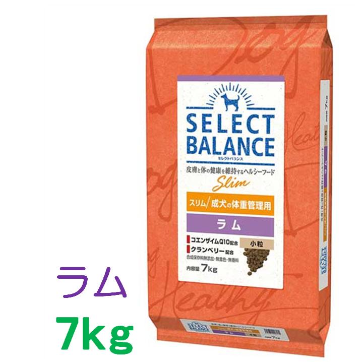 【限定】セレクトバランス エイジングケアラム　小粒 7才以上の成犬用 15kg Amazon | セレクトバランス エイジングケア ラム 小粒 7才以上の