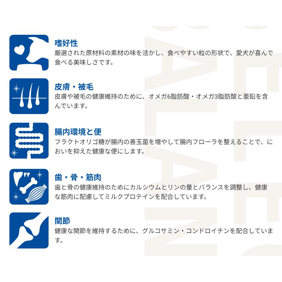 SELECT BALANCE セレクトバランス アダルト ラム 1才以上の成犬用