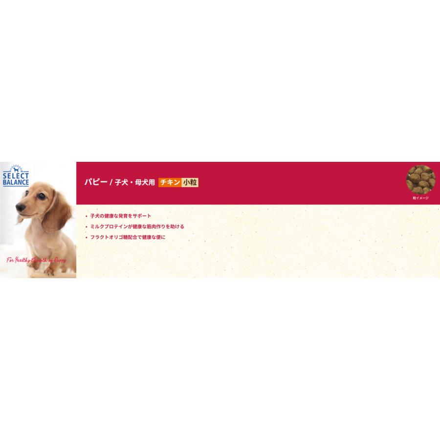 セレクトバランス　パピー　チキン　小粒　子犬・母犬用　3ｋｇ×2袋セット | SELECT BALANCE | 02