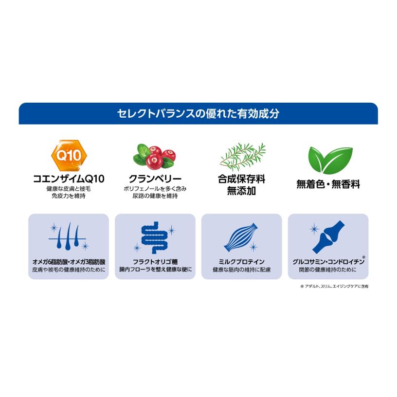 セレクトバランス　パピー　チキン　小粒　子犬・母犬用　3ｋｇ×2袋セット | SELECT BALANCE | 04