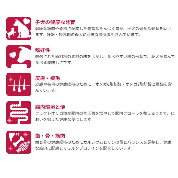 セレクトバランス　パピー　チキン　小粒　子犬・母犬用　3ｋｇ×2袋セット | SELECT BALANCE | 05