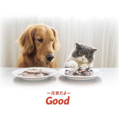 NMN サプリメント Good 【正規品】 犬用 猫用 長寿遺伝子を活性化 細胞