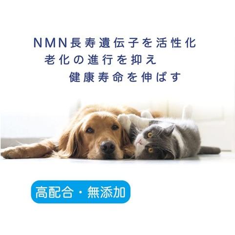 NMN サプリメント Good 【正規品】 犬用 猫用 長寿遺伝子を活性化 細胞