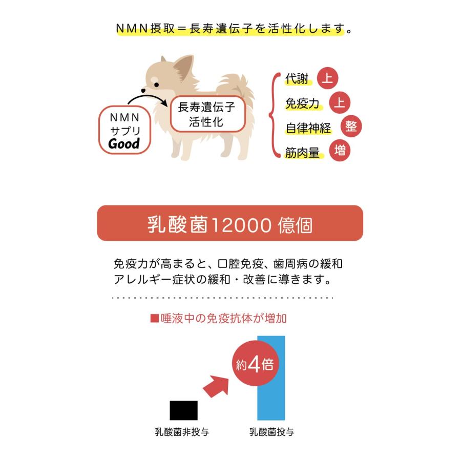 NMN サプリメント Good 【正規品】 犬用 猫用 : みるきぃうぇい