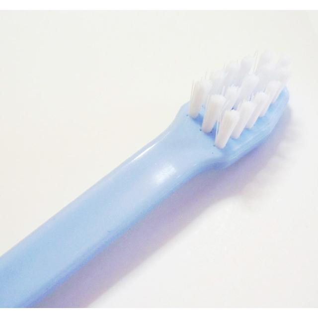 ビルバック　CET歯みがきペースト【チキンフレーバー】【デンタルブラシダブル】セット　（　犬　デンタルケア　歯みがき　歯磨き粉　歯垢　シニア　） | Virbac | 02