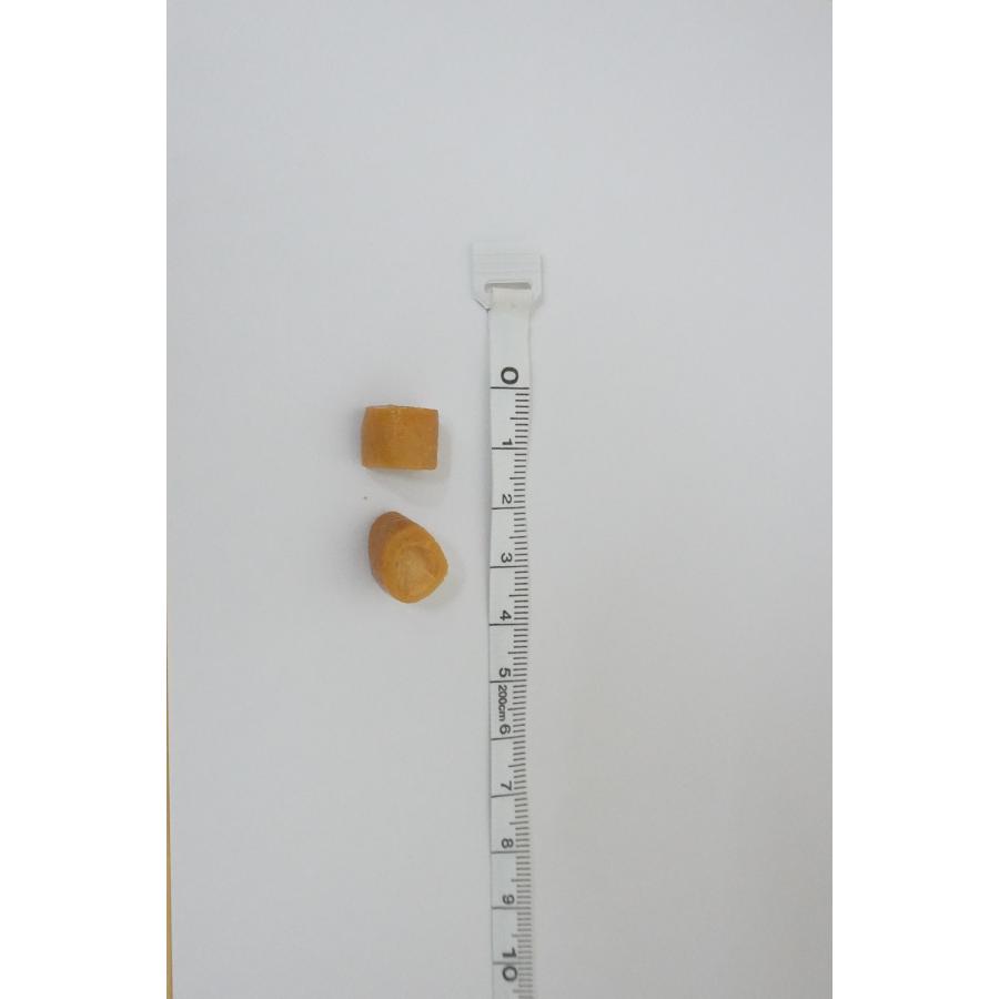 INABA ちゅ〜る いなば ちゅーるポケット 犬用 とりささみ味 1箱(10粒