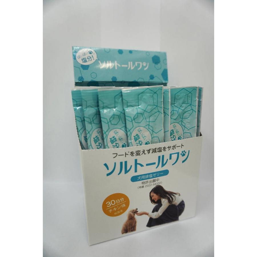 ソルトールワン　犬用排塩ゼリー | 日本全薬 | 01