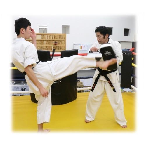 ISAMI キックミットＴＳ (FS-12）2個組 ISAMI キックミットTS FS-12 2個組セット //空手 ミット キック