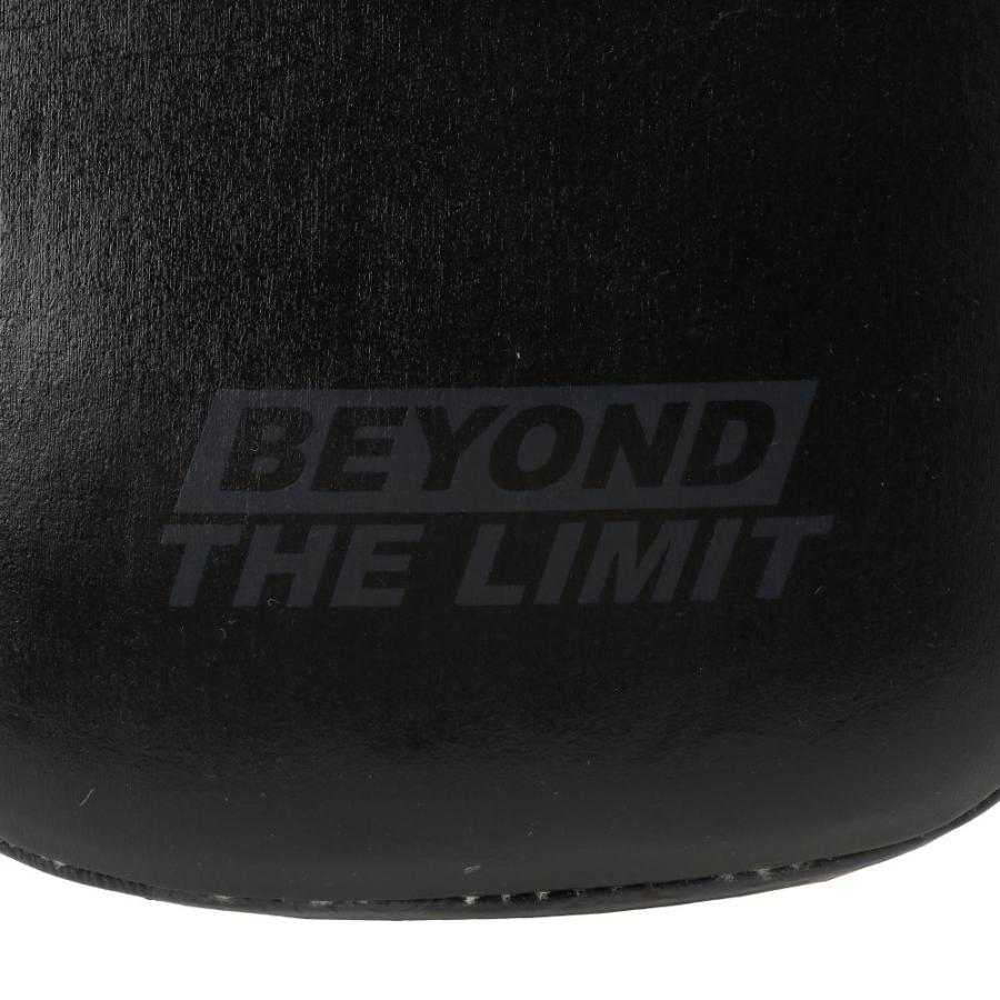 RYUJIN 本革 ハイブリッド パンチング＆キックミット（左右セット