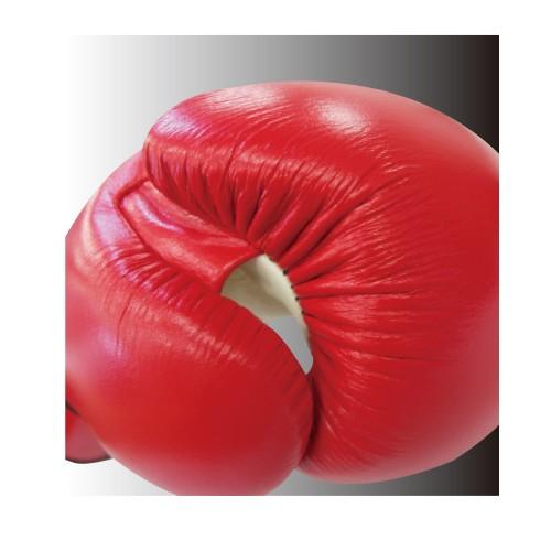 イサミ ボクシンググローブ BOXERボクシンググローブ 12オンス | すべての商品 | ISAMI