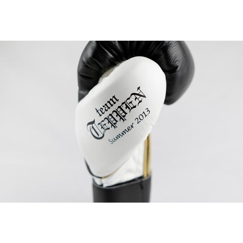 ISAMI ボクシング グローブ 天心グローブ 本革 JAPANモデル 8oz TP-002