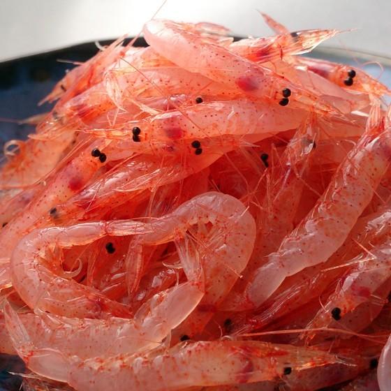 えび出品 和歌山雑賀崎漁港 青天産業｜紀州 【足赤えび】超特大100g