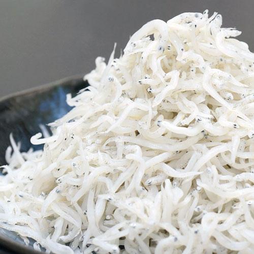 しらす 静岡 駿河湾産「しらす干し 化粧箱 480g」産地直送 冷凍（少し