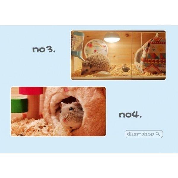 B2272小動物/爬虫類用 ペットケージ Lサイズ(幅60cm) 木製 B2272【組立