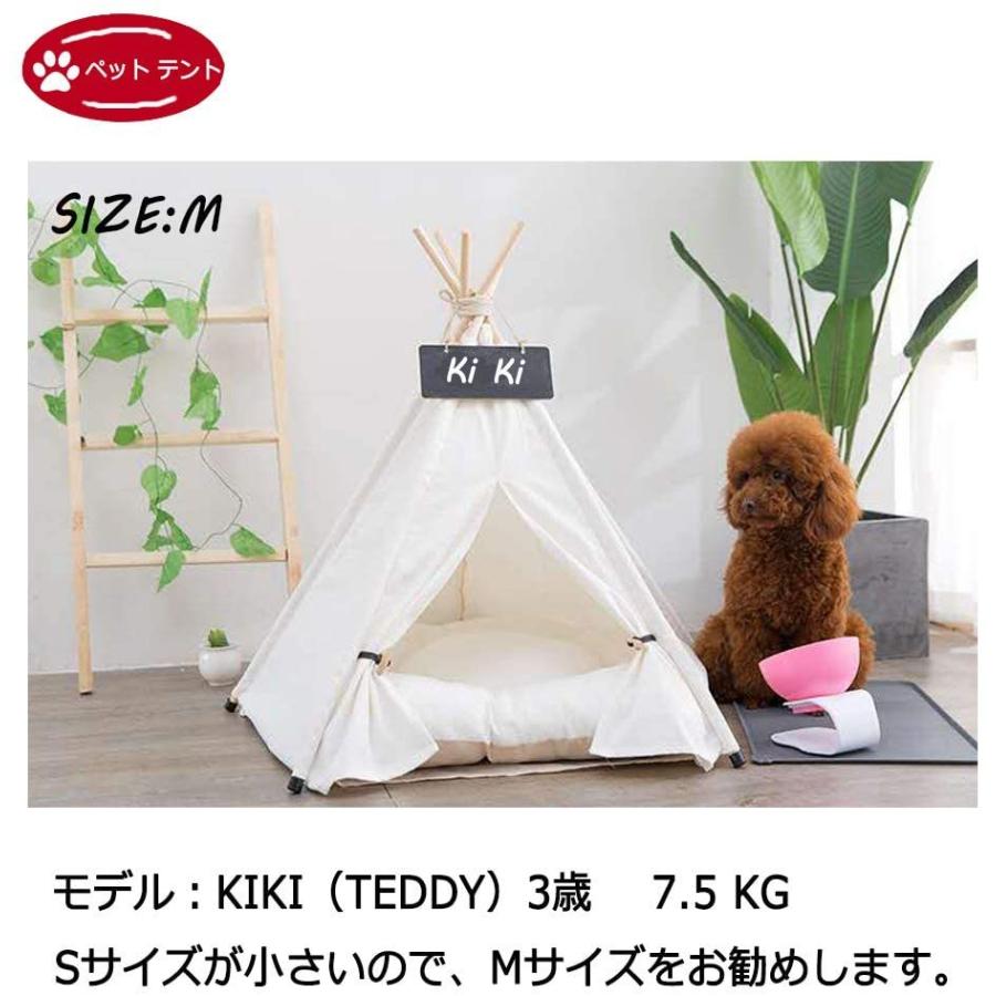 有名な高級ブランド ペット テント 犬小屋 猫小屋 ペットハウス マットレス付き 暖かい 冬 防寒 寒さ対策 冬用 洗濯可能 Pure White S Shipsctc Org