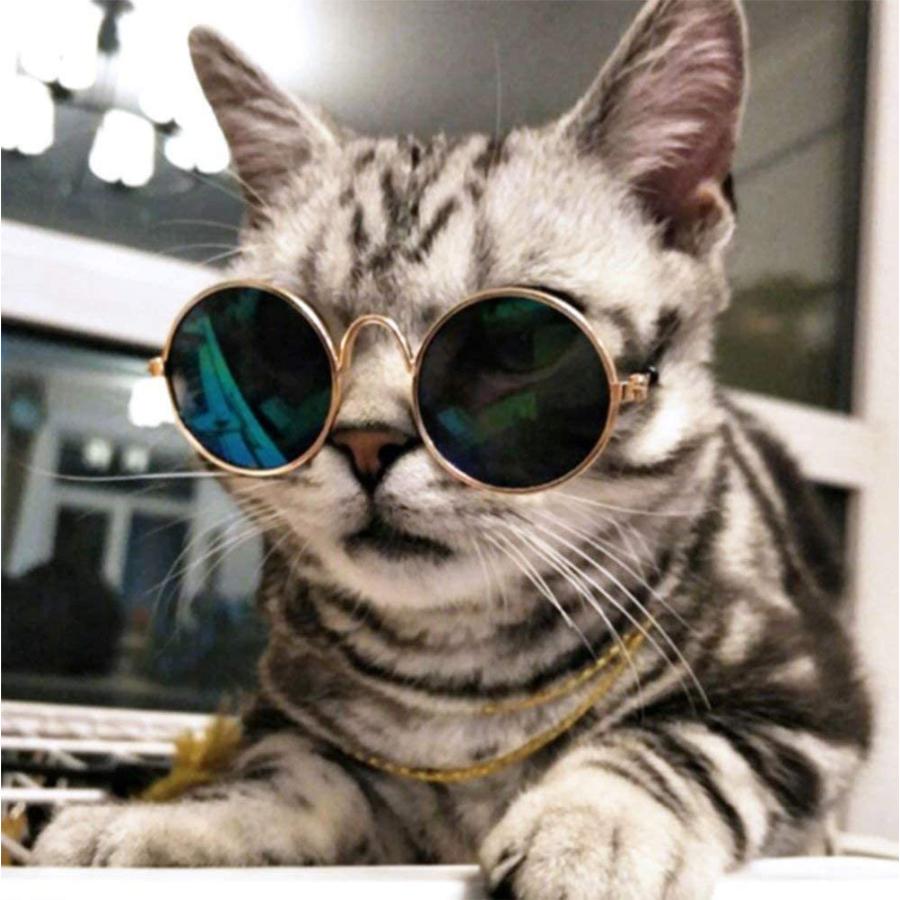 最適な材料 猫用品 猫 サングラス 眼鏡 メガネ 可愛い猫 ペット用 日焼け対策 保護 ファッション クール アクセサリー 撮影物 紫外線カット サングラス ランダムカラ