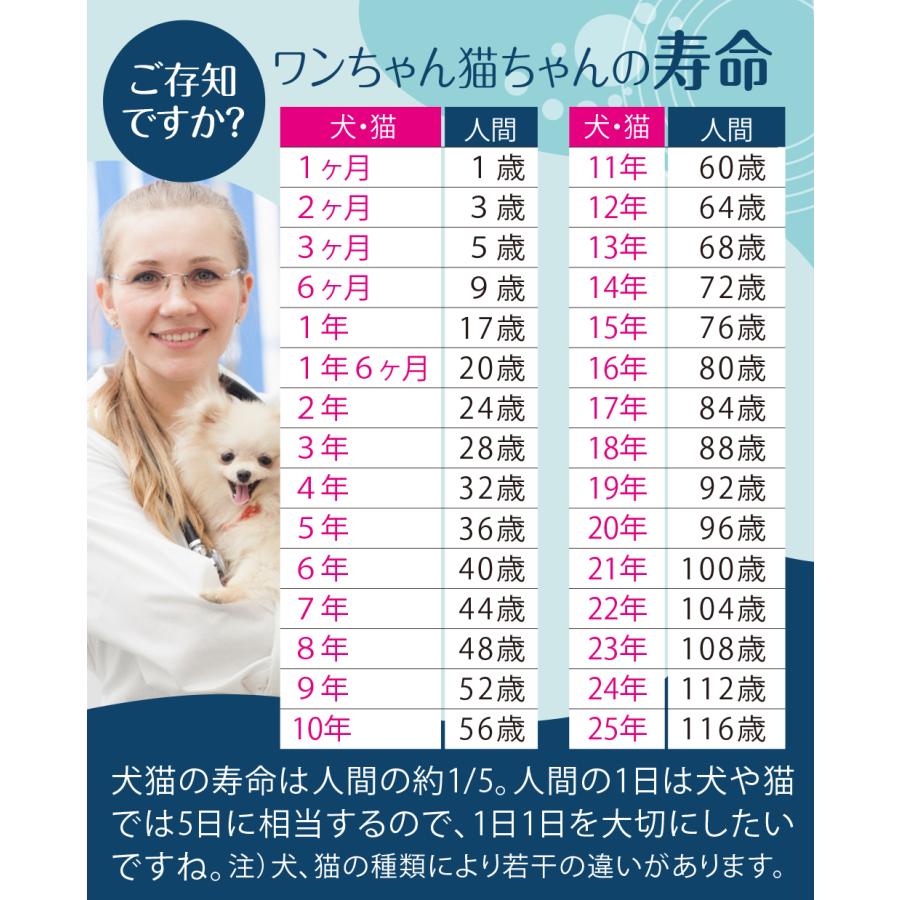 ペット用水素水 獣医さんの水素水 高濃度水素水 犬 猫 中性 軟水 ペット用水素水 獣医さんの水素水 高濃度水素水 犬 猫 中性 軟水
