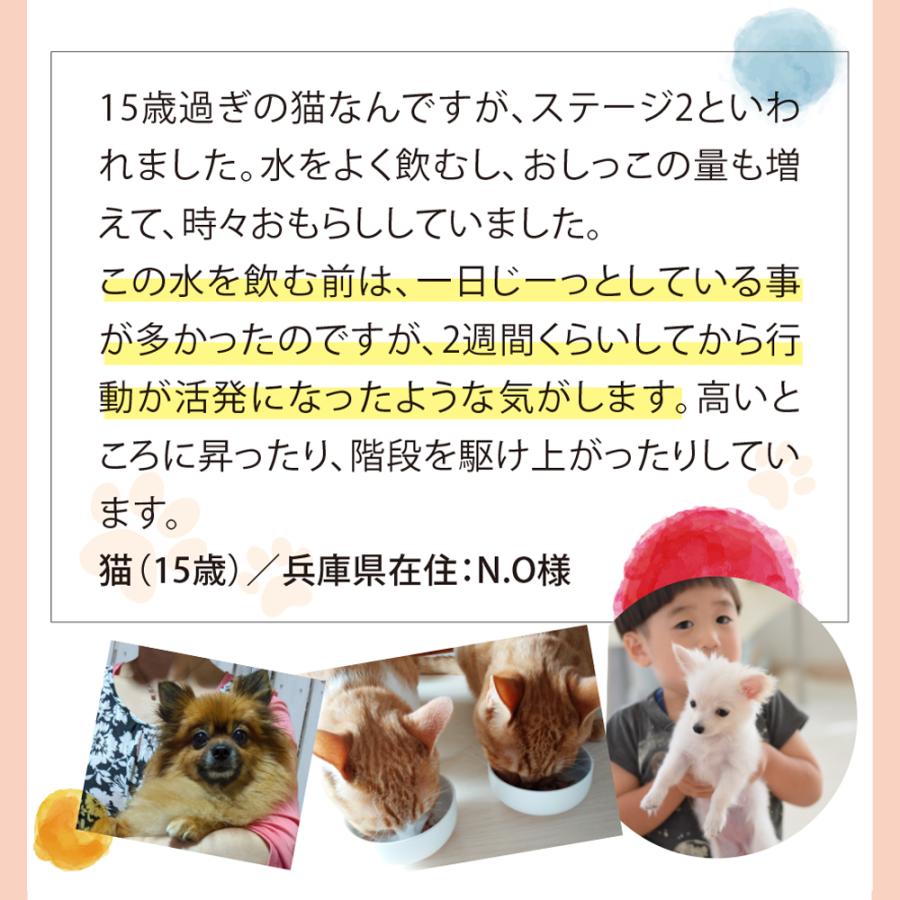 ペット用水素水 獣医さんの水素水 高濃度水素水 犬 猫 中性 軟水 ペット用水素水 獣医さんの水素水 高濃度水素水 犬 猫 中性 軟水