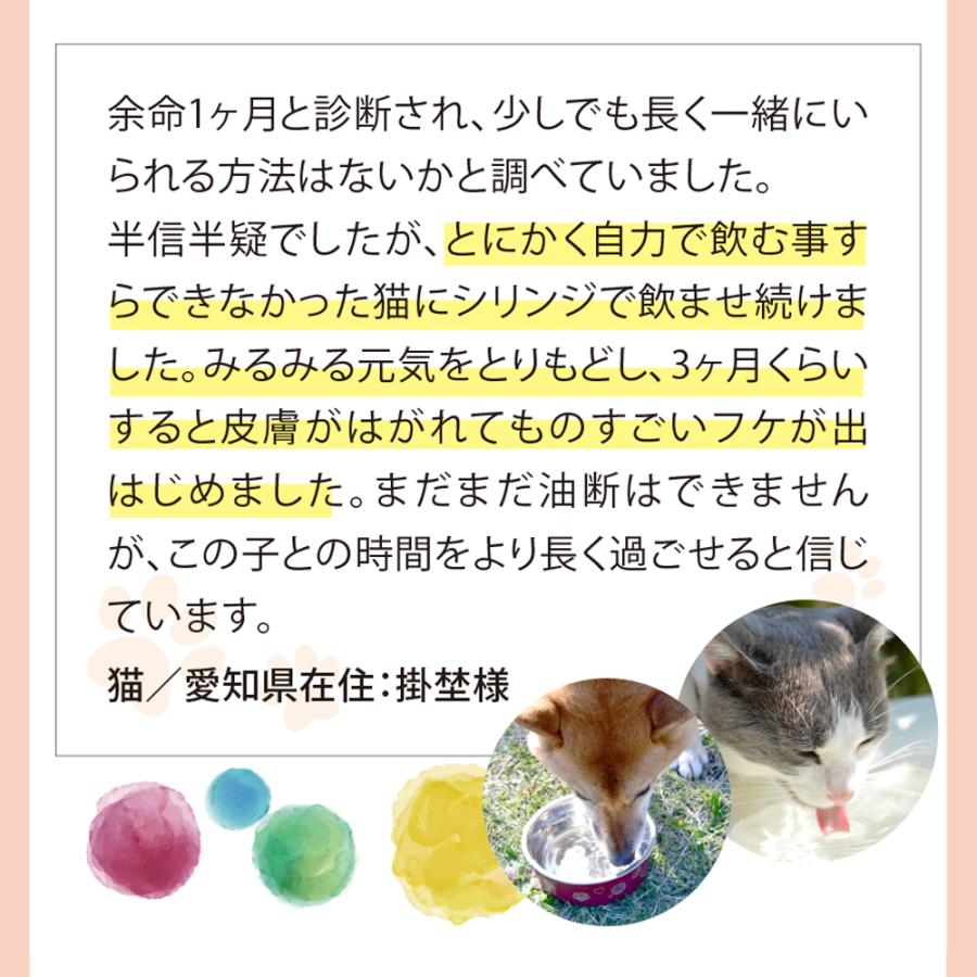 ペット用水素水 獣医さんの水素水 高濃度水素水 犬 猫 中性 軟水 ペット用水素水 獣医さんの水素水 高濃度水素水 犬 猫 中性 軟水