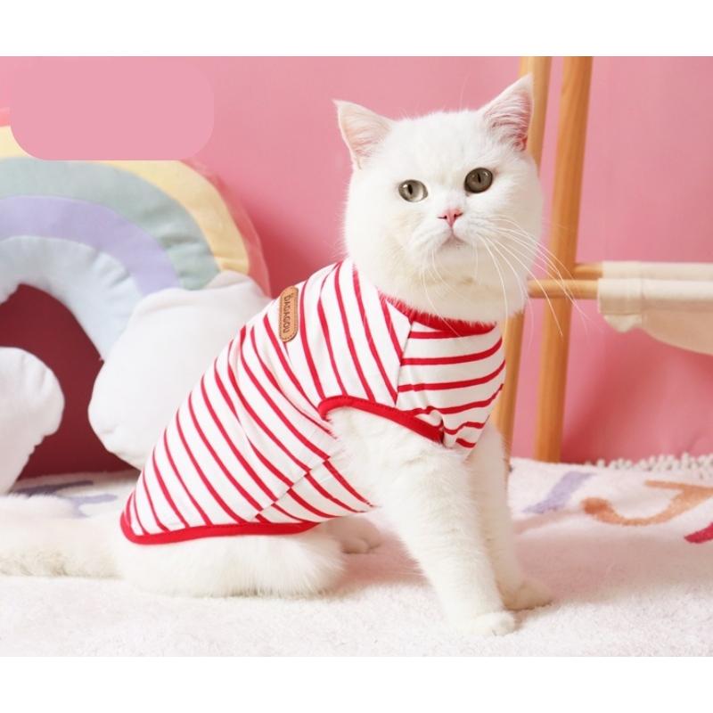 【新品未開封】FEEDER 猫の顔Tシャツ Lサイズ にゃー 猫顔プリント Tシャツ サイズ2 - メルカリ