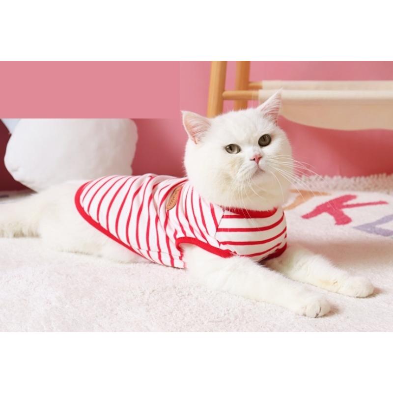 used SEXY STONES RECORDS LOVE CAT TOKYO猫Tシャツ 白 浅井健一