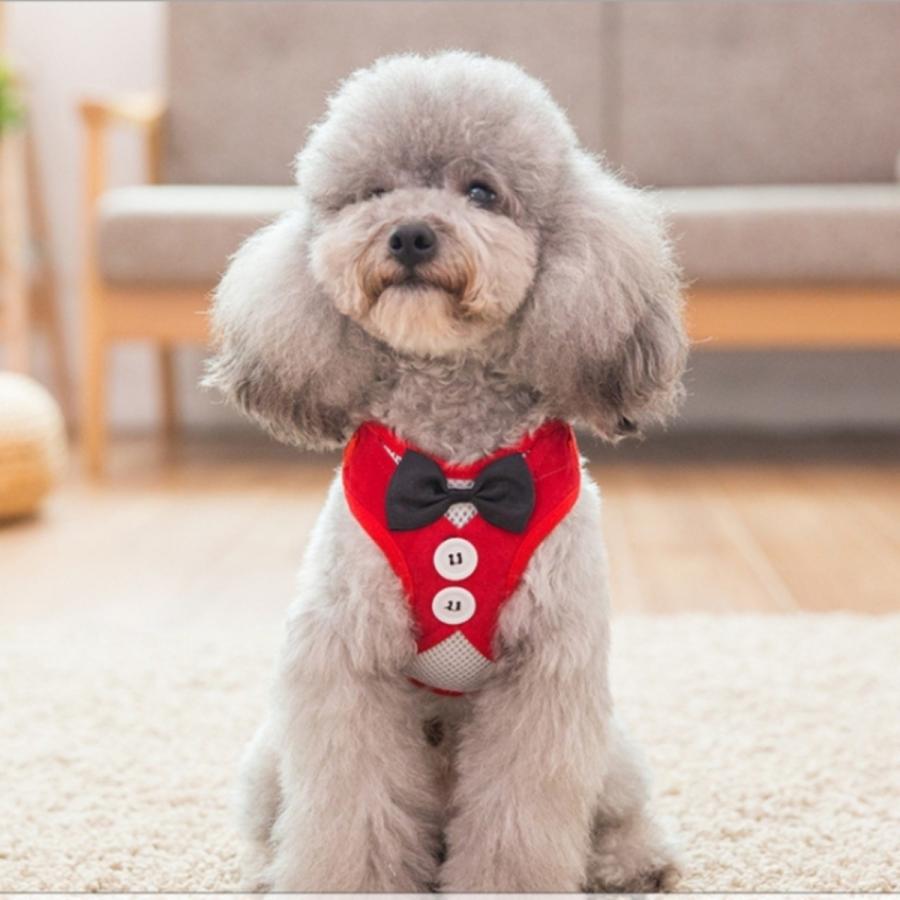 ハーネス 小型犬用 蝶ネクタイ リード付き リボン Dh d 04 マカロニセブンマーケット 通販 Yahoo ショッピング