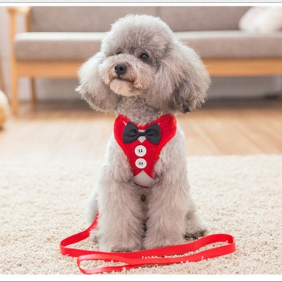 ハーネス 小型犬用 蝶ネクタイ リード付き リボン Dh d 04 マカロニセブンマーケット 通販 Yahoo ショッピング
