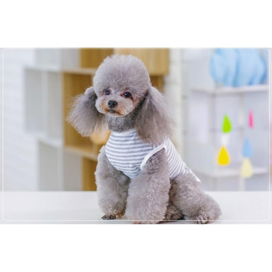 ハンドメイド犬服　【再販】ふんわりタンクトップ　リブニット★お袖変更可能 犬服 タンクトップ DBM ストライプ ボーダー かわいい
