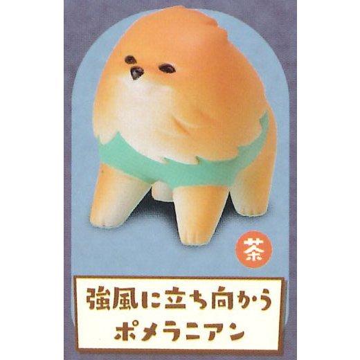 スタンド・ストーンズ ガチャ ぽめさんぽ 【強風に立ち向かう