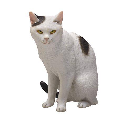 奇譚倶楽部 キタンクラブ ガチャ 森口修の猫 フィギュア 奇譚倶楽部 キタンクラブ ガチャ 森口修の猫 フィギュア