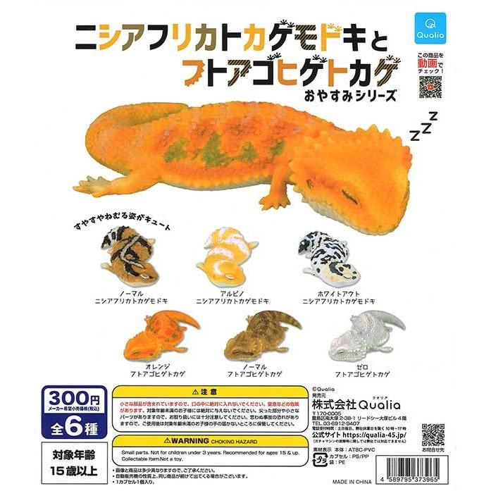 クオリア ガチャ ニシアフリカトカゲモドキとフトアゴヒゲトカゲ