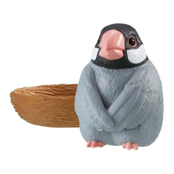 バンダイ ガチャ まちぼうけ鳥 鳥 フィギュア 【文鳥】 : ミニチュアの