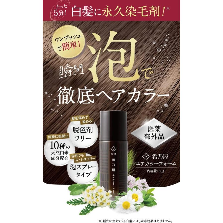 永久染毛剤 [医薬部外品]【希乃屋 (きのや) エアカラーフォーム】ヘア