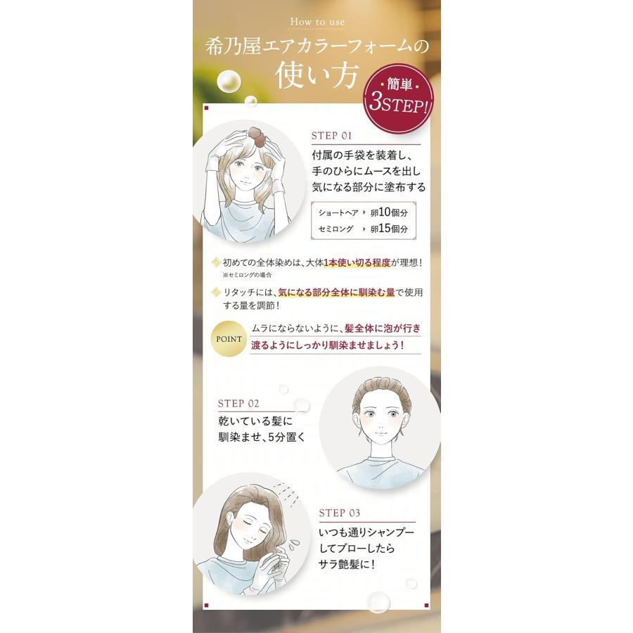 永久染毛剤 [医薬部外品]【希乃屋 (きのや) エアカラーフォーム】ヘア
