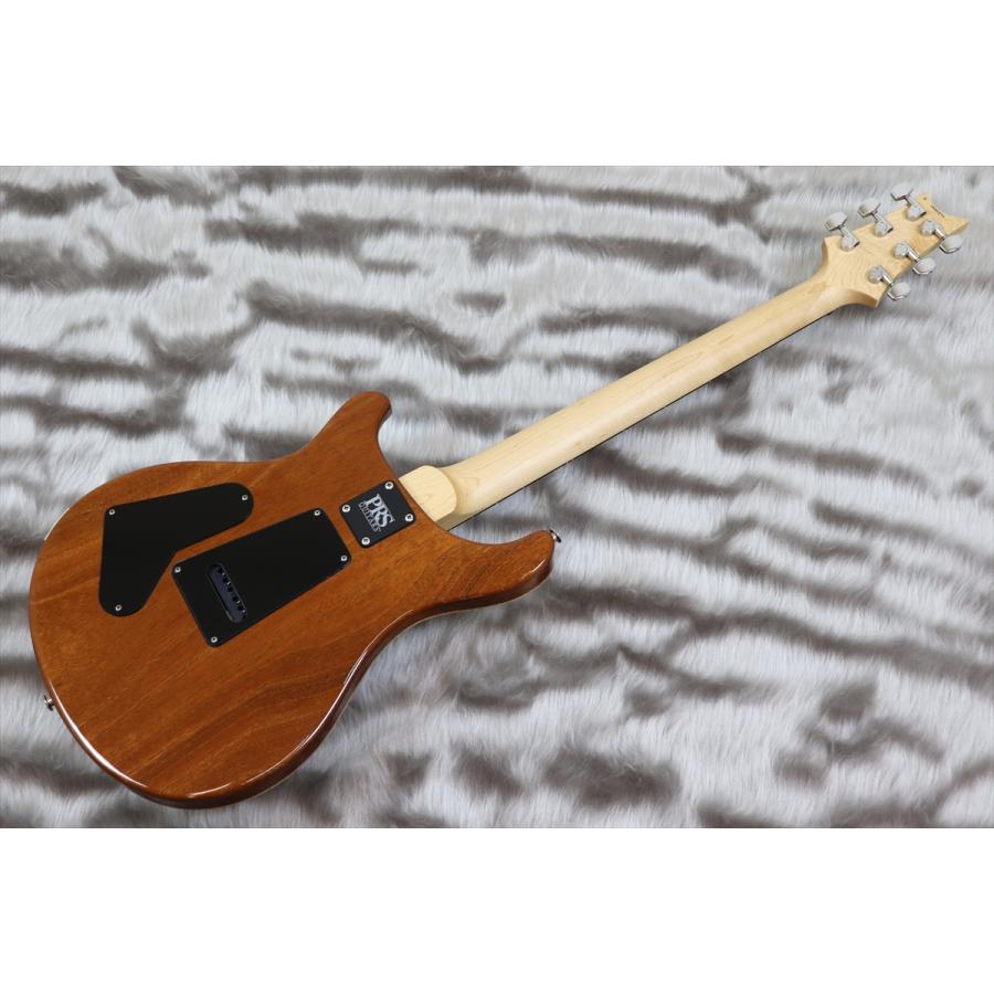 PRS (Paul Reed Smith) Bolt-On - CE 24 Semi-Hollow Eriza Verde