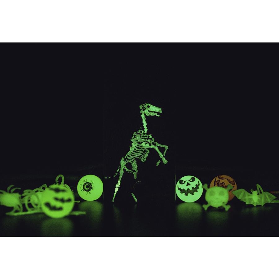 WALRUS AUDIO Iron Horse LM308 Distortion Halloween 2022 [WAL