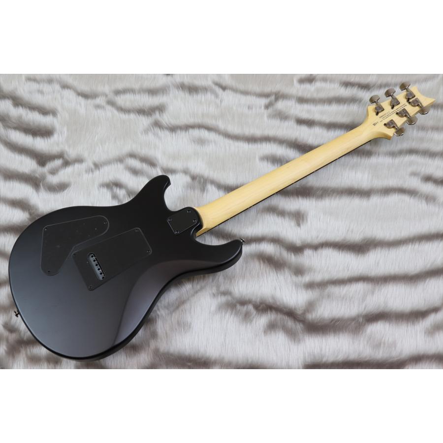 PRS (Paul Reed Smith) SE Swamp Ash CE 24 