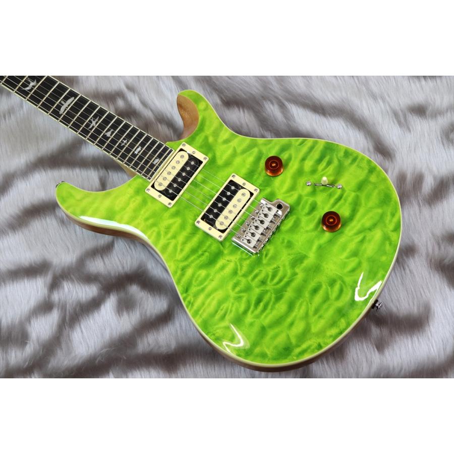 PRS (Paul Reed Smith) SE Custom 24 Quilt Package Eriza Verde