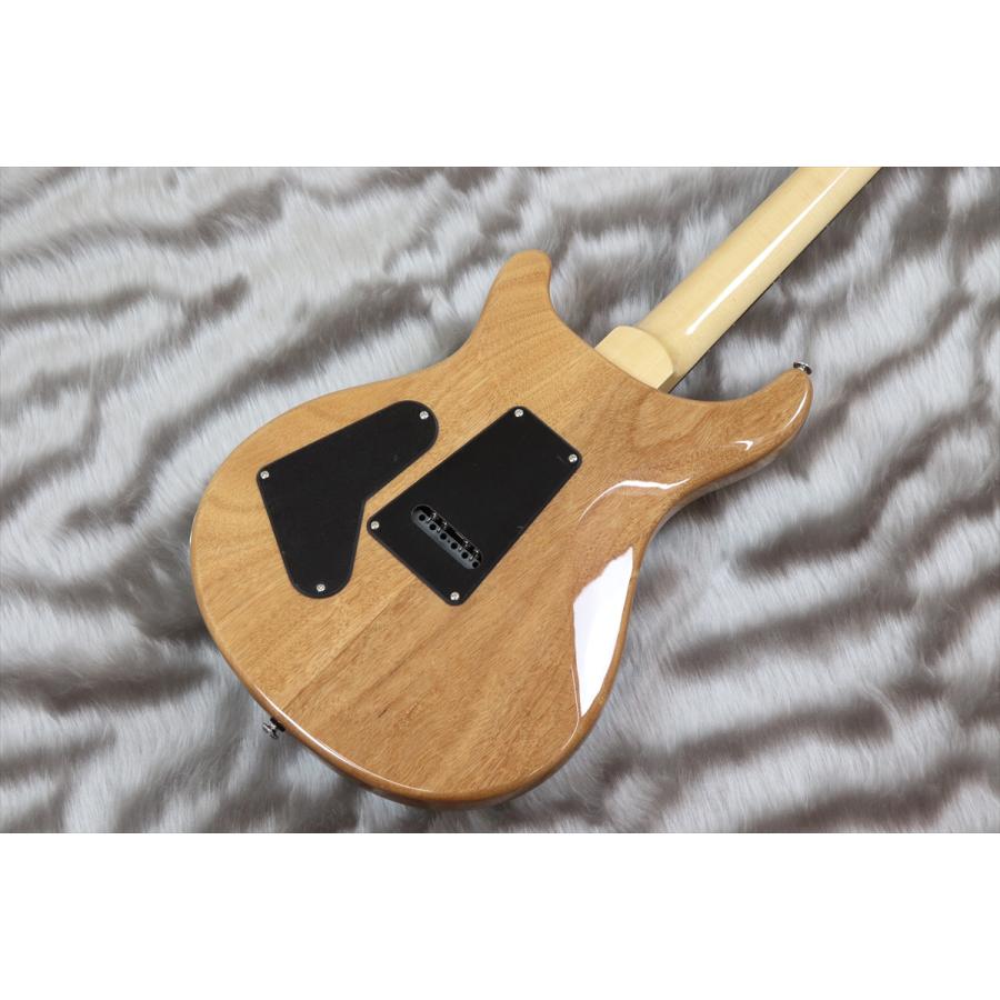 PRS (Paul Reed Smith) SE Custom 24 Turquoise 【2023年製】 [CTI  