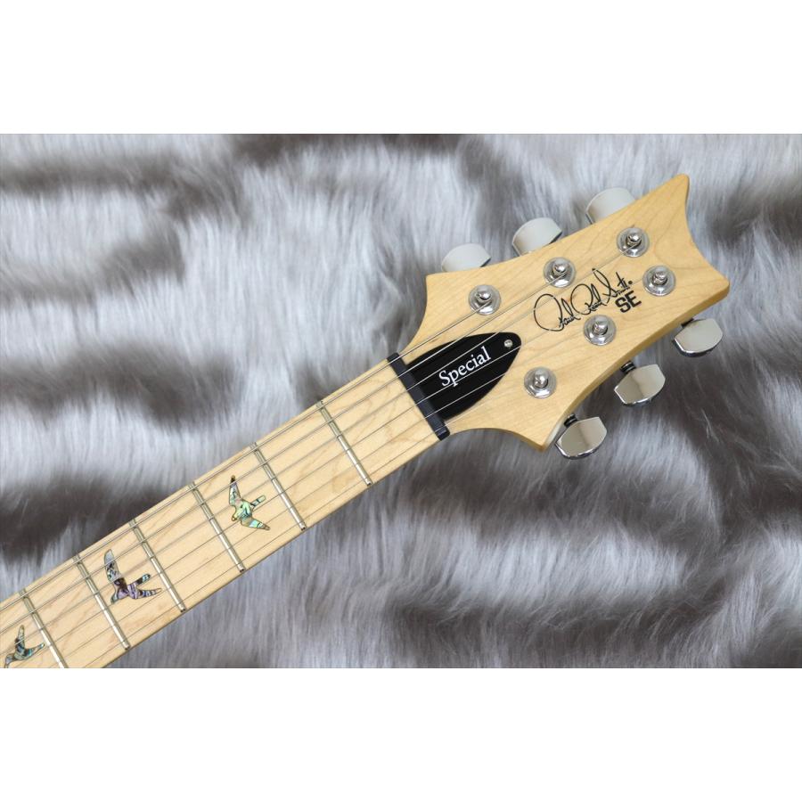 PRS (Paul Reed Smith) SE Swamp Ash Special Charcoal 【2023年製