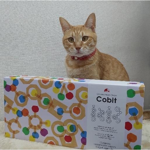 エドインター Connectable Chain Cobit -12pieces- (コネクタブル