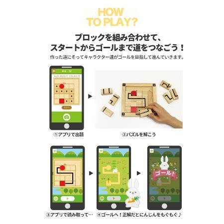 エドインターの木製脳トレパズル×アプリ　 Route Finder（ルートファインダー）　 | エド・インター | 01
