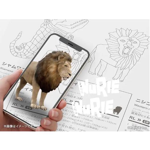 NuRIEbook(ヌーリエブック)　DOUBUTSU ZUKAN ぜつめつききどうぶつ　NU-BK2 |  | 06