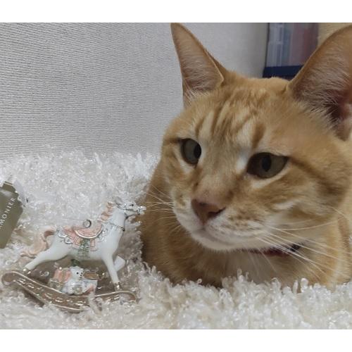 HARMONIER（ハルモニア） ミニロッキングホースオーナメントパステル