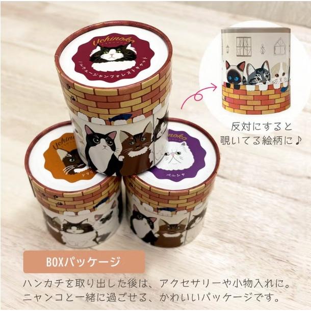 BOX入り うちの子メイト にゃんこシリーズ 猫刺繍入り タオルハンカチ