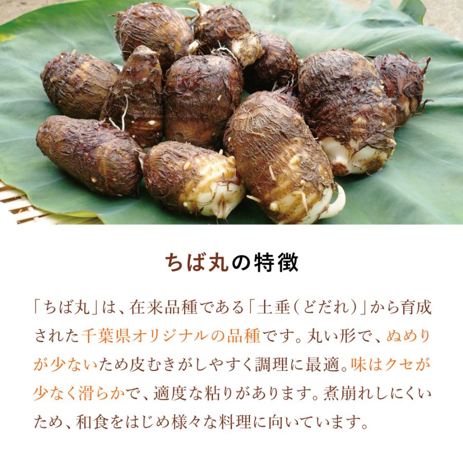 ちば丸 5kg （MLサイズ） ※今期販売中止 : 花悠 豚肉専門店