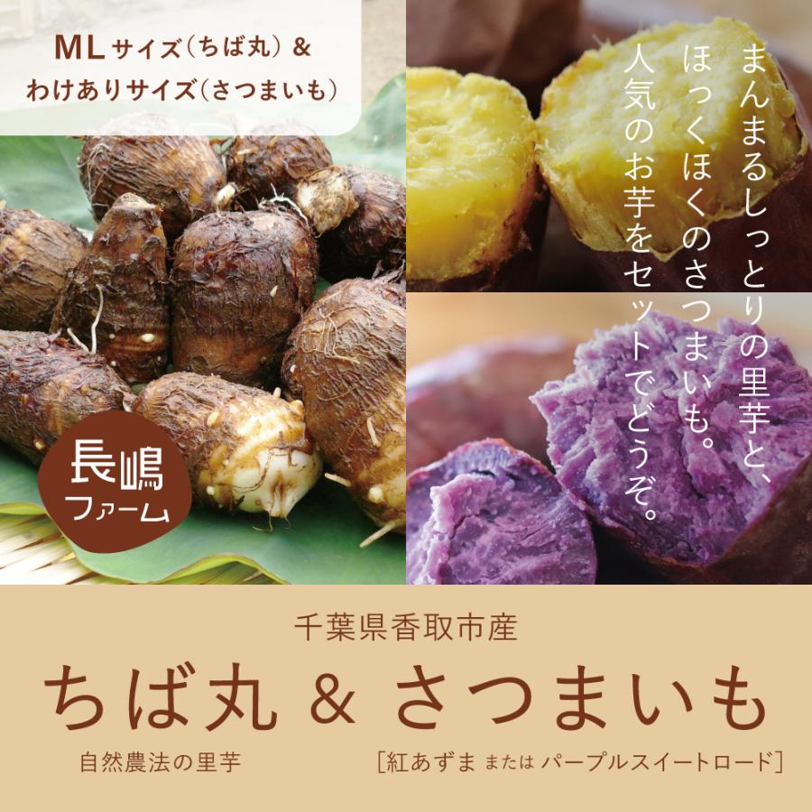 ちば丸 （MLサイズ）＆選べるさつまいも （わけありサイズ）5kg ※今期